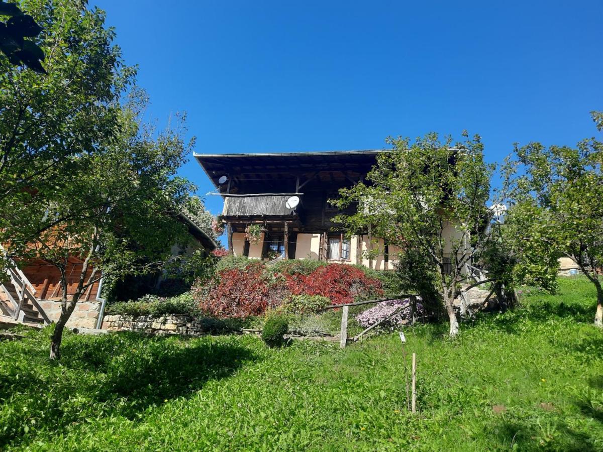 Guest House Kandaferi 2 엘레나 외부 사진