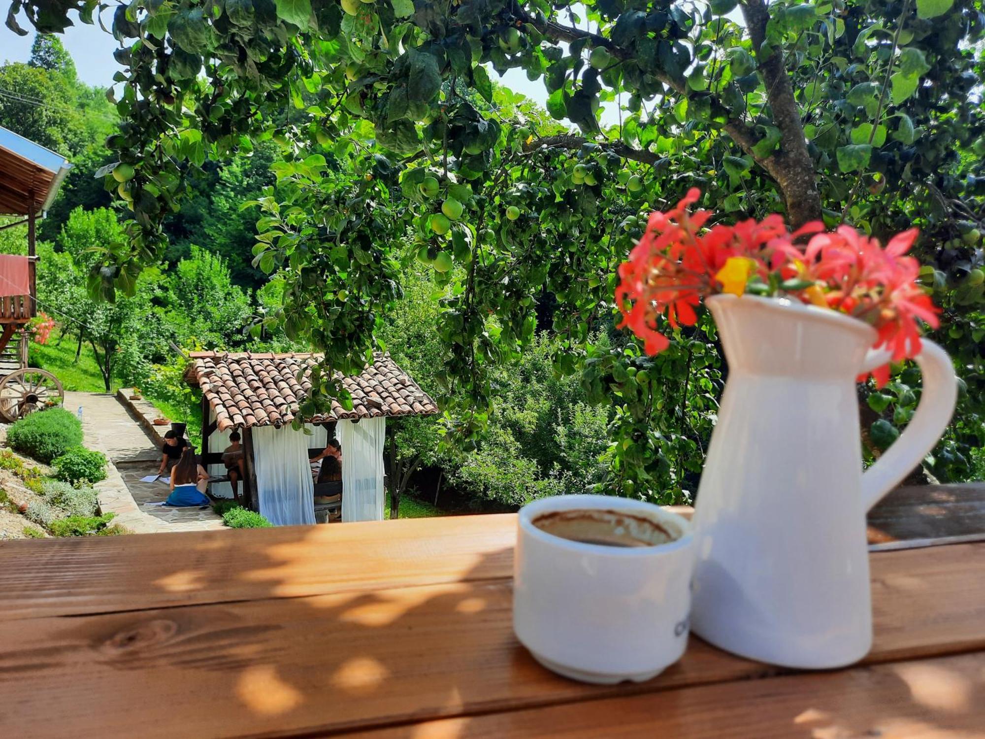 Guest House Kandaferi 2 엘레나 외부 사진